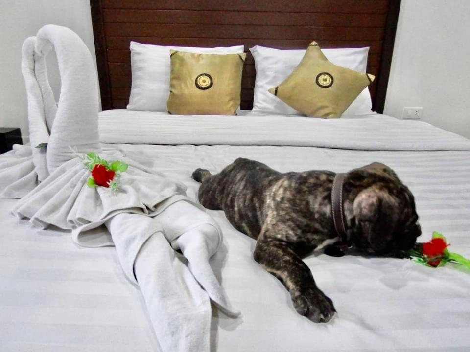 Rawai Vivi Boutique Room Hotel Sha Plus מראה חיצוני תמונה